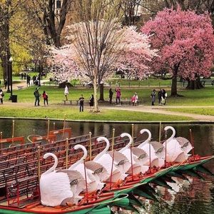 Meet your Posher, Janet